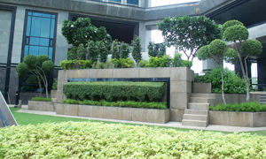 Corporate Landscaping
